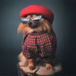 You Might Be Loving Fluffy to Death