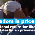 ‘Freedom is priceless’: Emotional return for liberated Palestinian prisoners