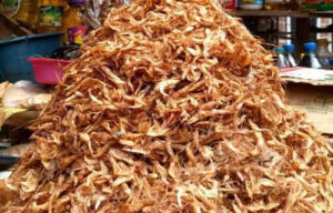 Crayfish costs skyrocket in Lagos, traders warn prices may hit N15,000 by December 