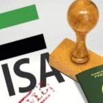 500 Visas to Be Processed Daily for Pakistanis as UAE Introduces Major Visa Reforms