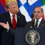 Shehbaz Sharif In Egypt: Lavish Trump Praise, Then An India Question And An Awkward Reaction