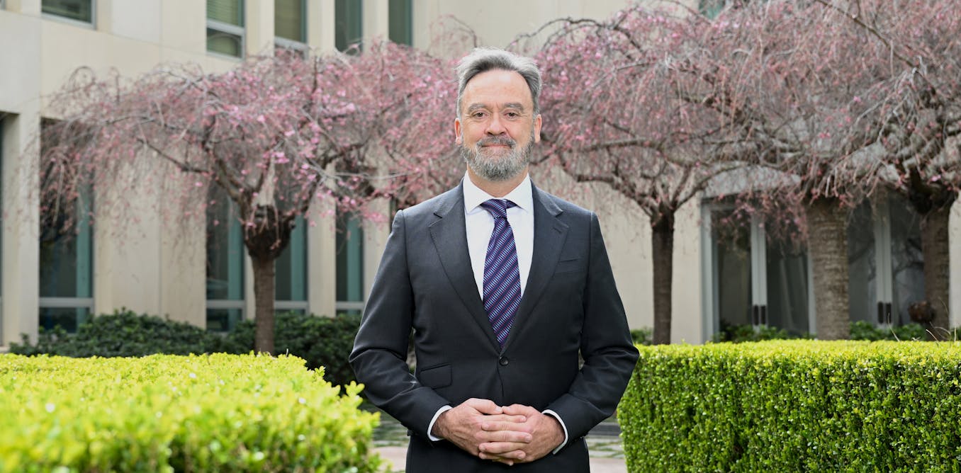 Politics with Michelle Grattan: Liberal Andrew McLachlan on why he’ll still promote net zero