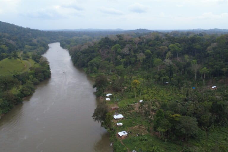 Forest loss, fires and invasions soar in Nicaraguan wildlife refuge, watchdog warns