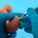 How Are Annual Flu Vaccines Made?