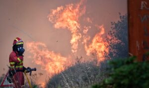 EU’s record wildfire emissions highlight threat to forest carbon sinks
