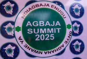 Summit: Mbah, Ex-Governor, Former Minister, Others Harp On Importance Of Youths Academic Skills