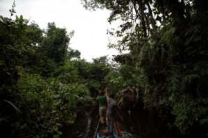 France leads $2.5 billion initiative to safeguard Congo’s forest