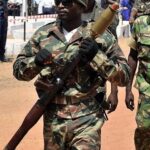 Nigerian Lawmaker Defends Guinea-Bissau Coup