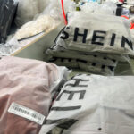 Shein’s childlike sex dolls ‘not acceptable’, visiting French minister tells Chinese hosts