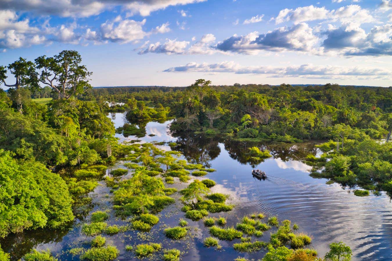 Africa’s forests are now emitting more CO2 than they absorb