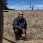 Farmers call for change as invasive weed chokes out landscape