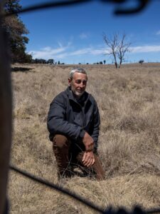 Farmers call for change as invasive weed chokes out landscape