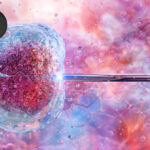 Private Equity Tightens Grip on Fertility Clinics Despite State Laws