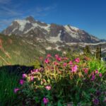 US national parks drop free admission on MLK Day and Juneteenth, but add Trump’s birthday
