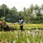 From Access to Action — Carbon Markets Can Turn Developing Countries’ Ambitions into Realities