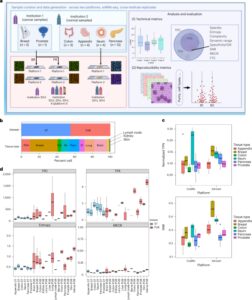 Standardized metrics for assessment and reproducibility of imaging-based spatial transcriptomics datasets