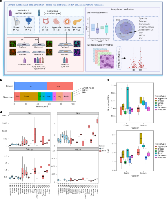 Standardized metrics for assessment and reproducibility of imaging-based spatial transcriptomics datasets