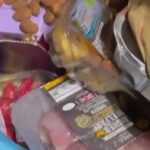 I rooted through M&S and Lidl the bins and found £2000 worth of food, half of it wasn’t even out of date