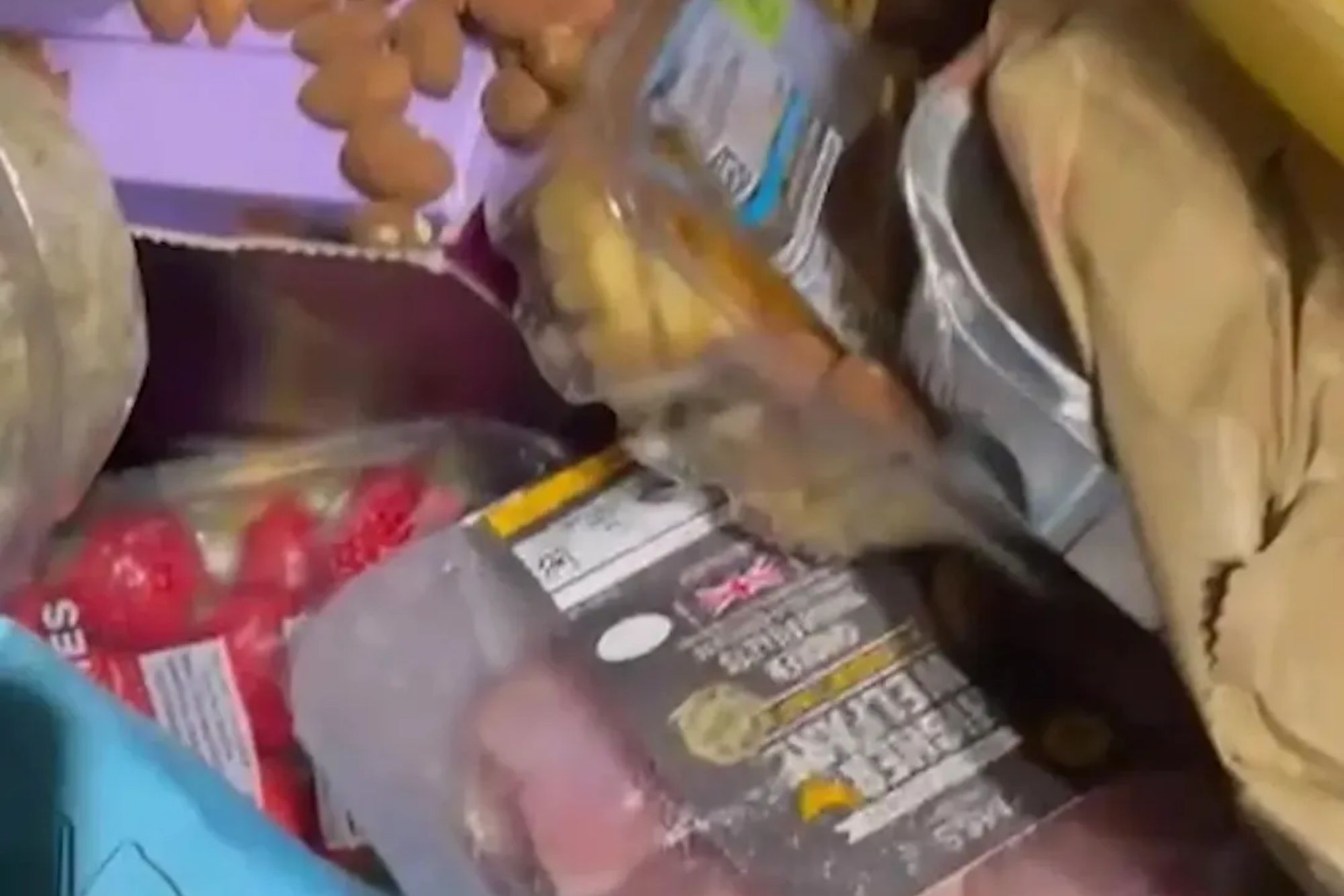 I rooted through M&S and Lidl the bins and found £2000 worth of food, half of it wasn’t even out of date