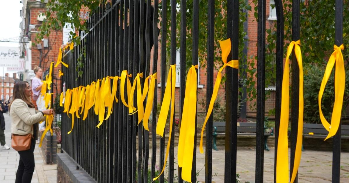 Woman hands herself into police after ribbons for Hamas hostages cut down