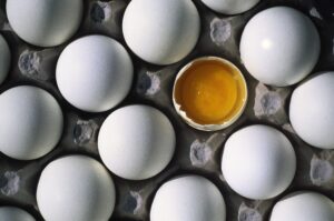 Is It Time to Ditch the Egg White Omelette? New Study Found This Nutrient in Egg Yolk Slows Brain Aging.