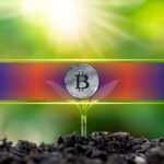 DATs Slow Down, Futures Get Crushed: Is Bitcoin Entering a New, Cleaner Market Regime?