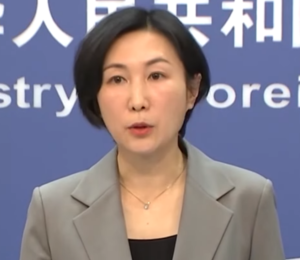 Chinese Foreign Ministry spokesperson in exclusive interview hails Egypt’s efforts in Gaza