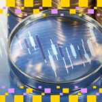 Bitcoin’s Monthly MACD Flashes Red: Echoes of Past Bear Markets