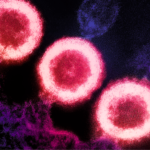 Top ten news stories in 2025