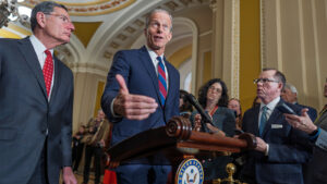 Senate Rejects Extension of Obamacare Subsidies