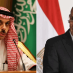 Egypt, Saudi FMs discuss Gaza, Sudan and preparations for Supreme Coordination Council