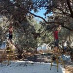 Israel Wants to Destroy My Family’s Way of Life. We’ll Never Give In.