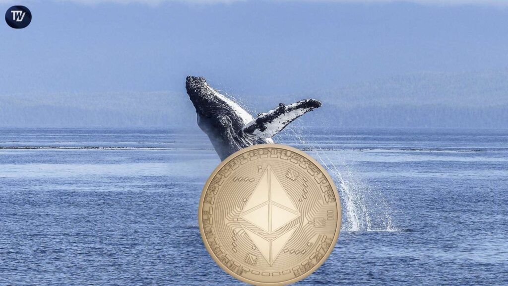Ethereum Surges After $1.3 Billion Whale Purchase with $3,550 Price Target