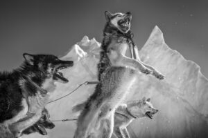 One of the Greatest Polar-Bear Hunters Confronts a Vanishing World