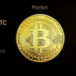 Bitcoin Adoption Is Just Getting Started — 200x Growth Possible, Tom Lee Says