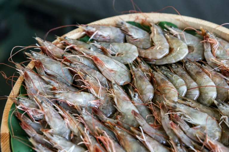 Taiwan eyes fresh diplomatic ties with Honduras