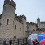 Four Arrested After Throwing Apple Crumble And Custard At Crown Display In London
