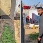 ‘Planting to preserve our dignity’: Gaza farmers remain cut off from their land