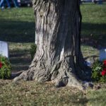 Feel-Good Friday: Wreaths Across America Continues Its Mission to Remember, Honor, and Teach