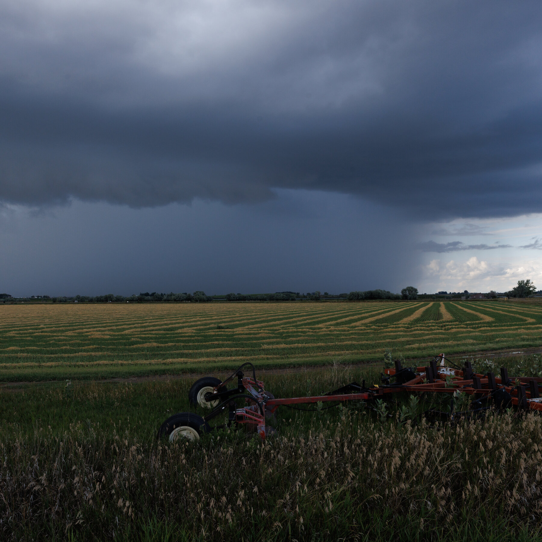 Canada Is About to Lose Its Status as Having Eliminated Measles