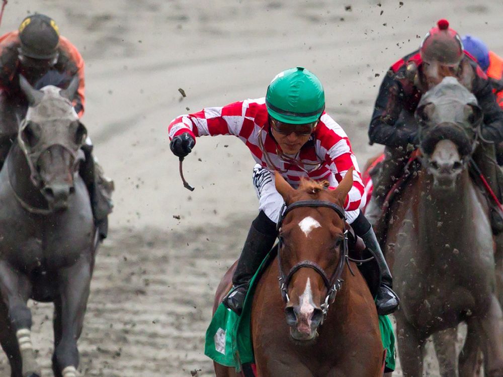 Hastings Racecourse in Vancouver to shut down permanently, operator says