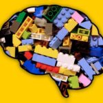 Your Brain Has a Learning Shortcut AI Can’t Copy