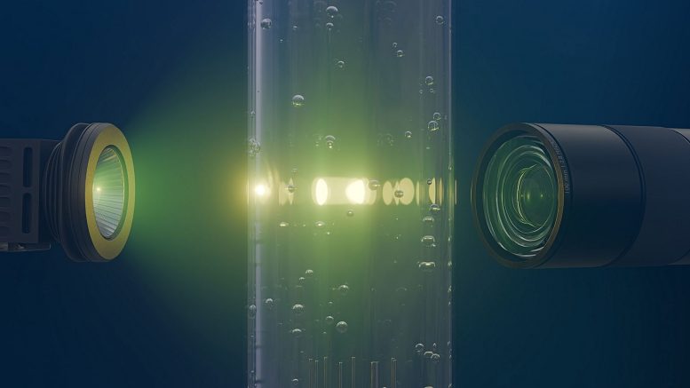 Turbulent Bubbles Confirm a Century-Old Physics Theory