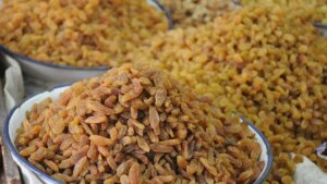 Chinese raisin imports trigger price crash, Maharashtra growers seek govt action