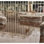 Red Sea Film Festival Locks Down; Cancels Screenings & Talks For The Day As Torrential Rain Hits Jeddah