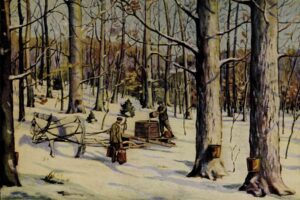 How Quebec Farmers Took On Vermont’s Maple Syrup King—and Won