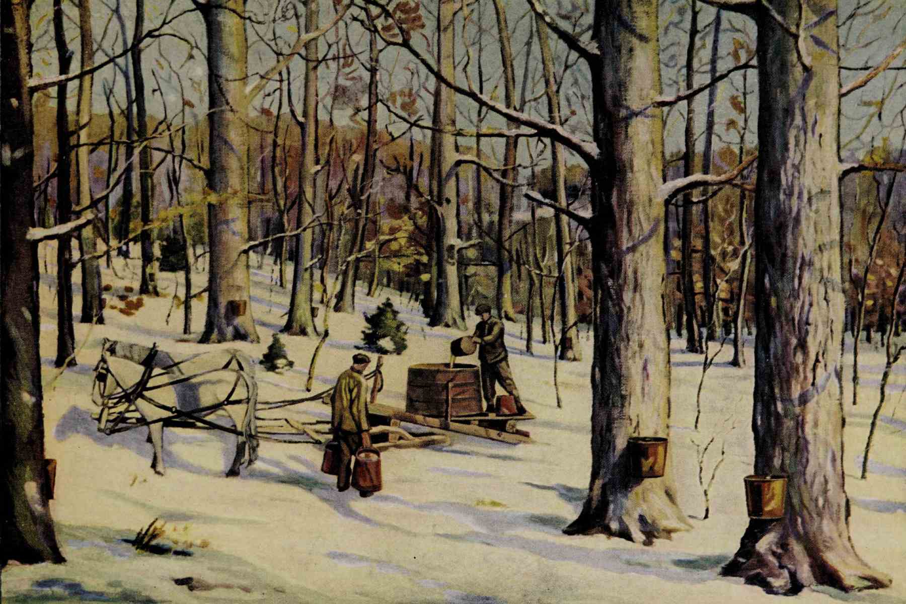 How Quebec Farmers Took On Vermont’s Maple Syrup King—and Won