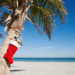 Holiday Travel 2025: Increased Interest and Lower Airfares as AI Tools Gain Popularity