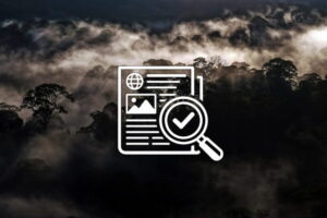 The value of journalism in the AI era