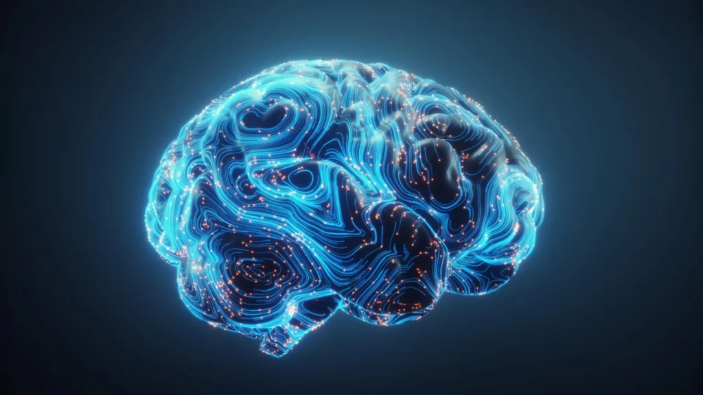 Scientists reveal a hidden hormone switch for learning